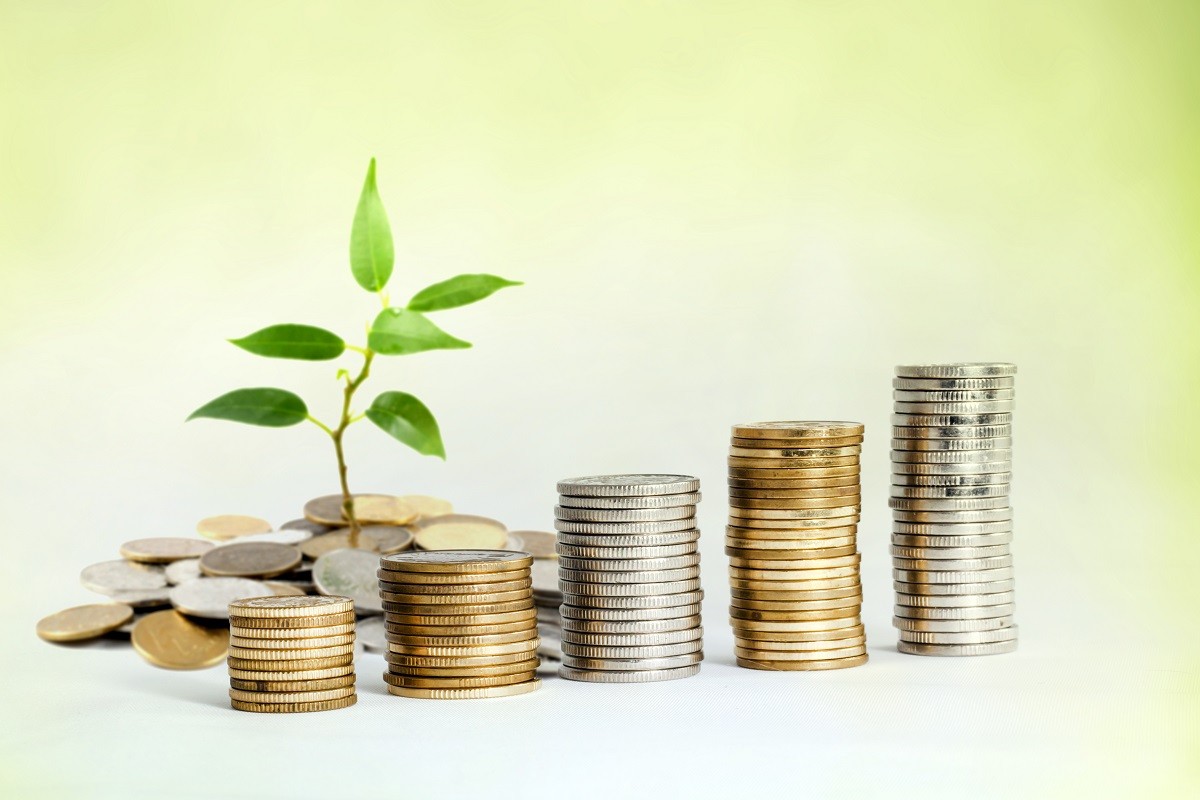 Growing-Investment-Stock-Photo