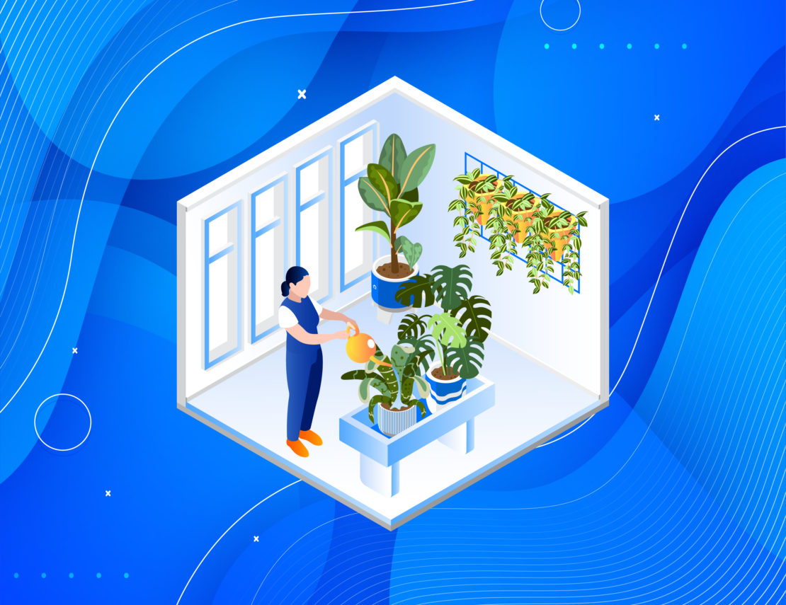 8 Indoor Plants To Refresh Your Home | Properly