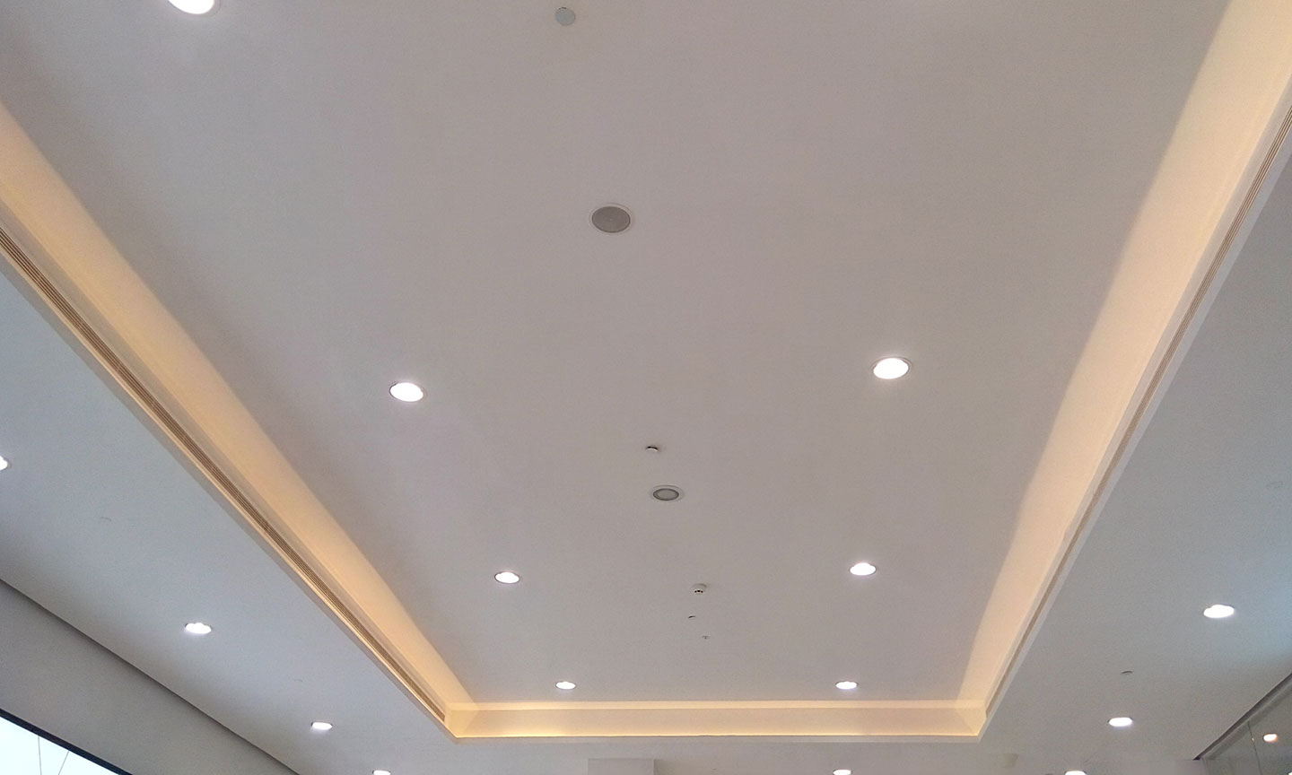 Plaster Ceilings