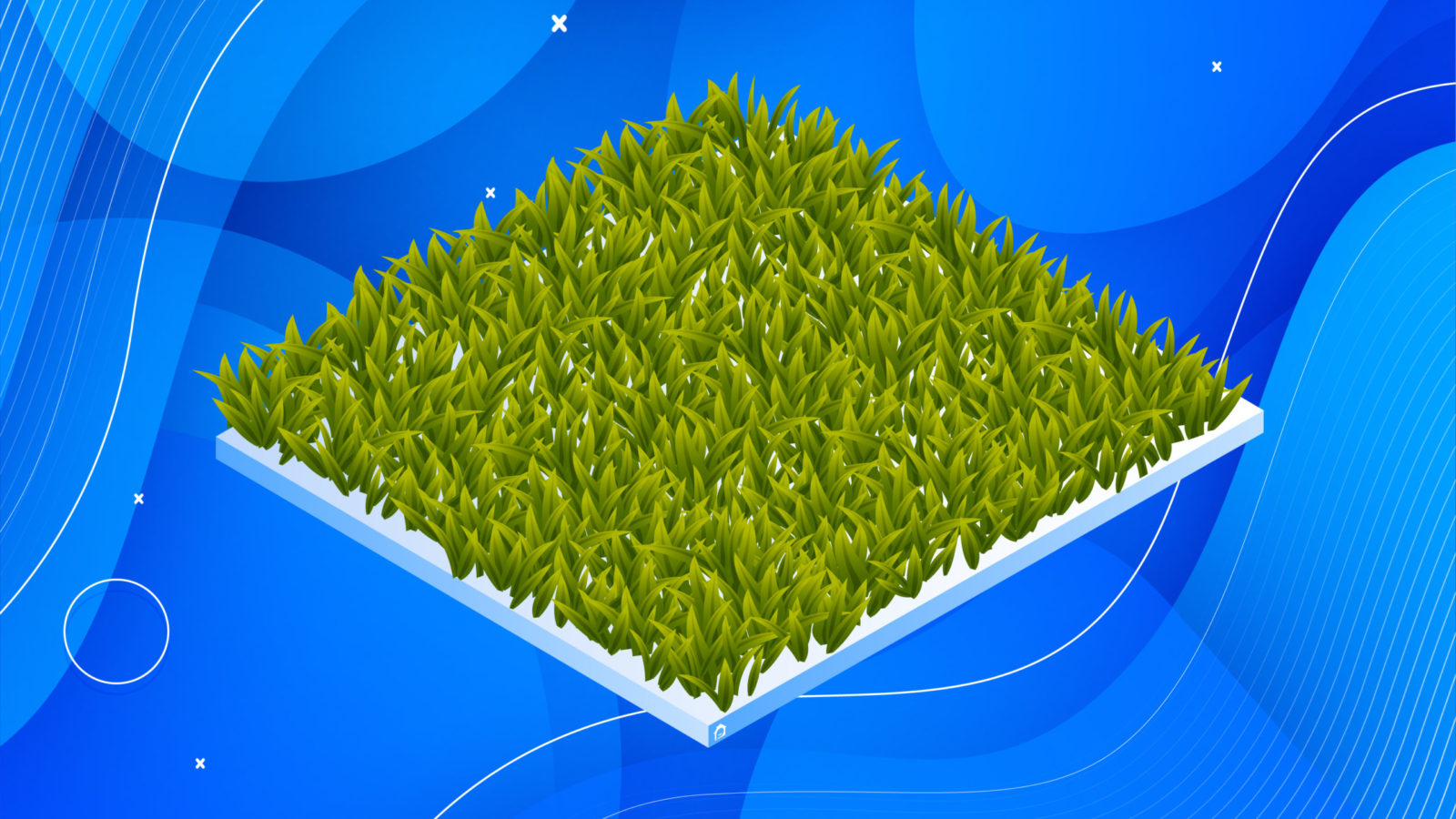 Artificial Grass